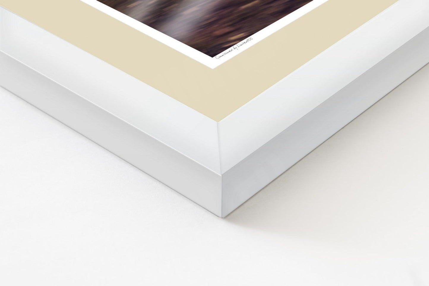 1929 Alfa Romeo 6C