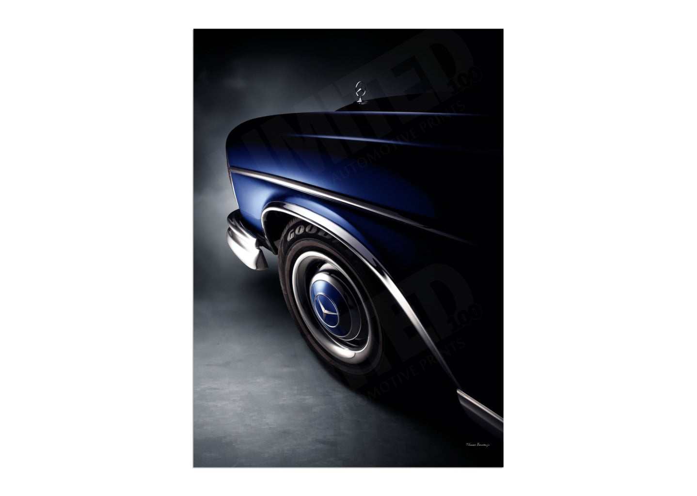 1967 Mercedes-Benz 250SE (detail)