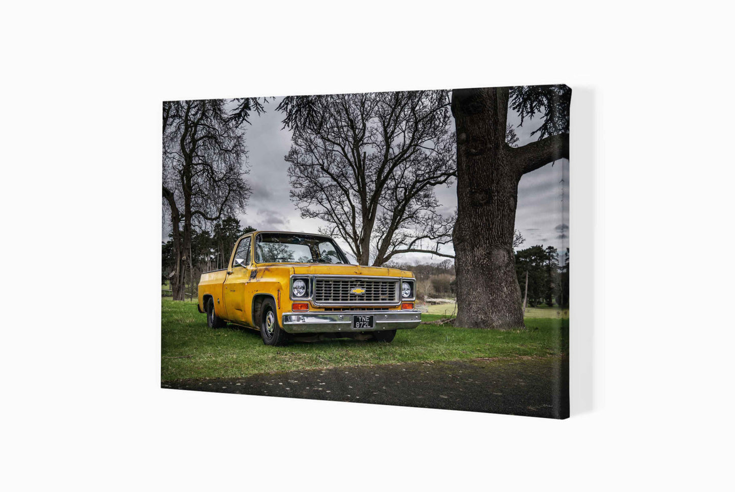 1973 Chevrolet C10