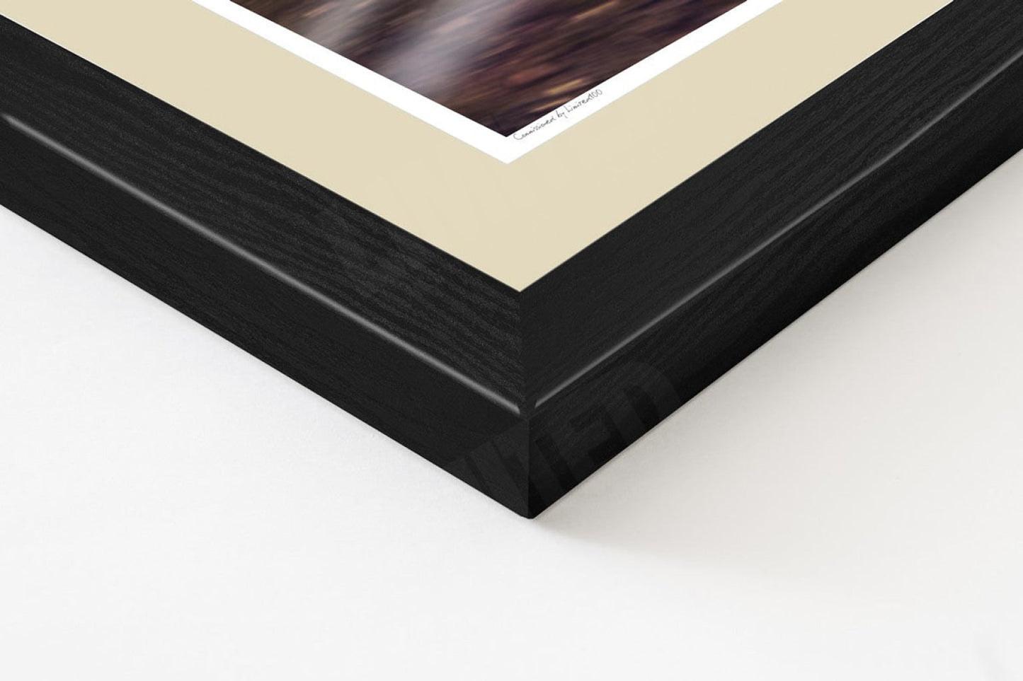 Jaguar E-Type