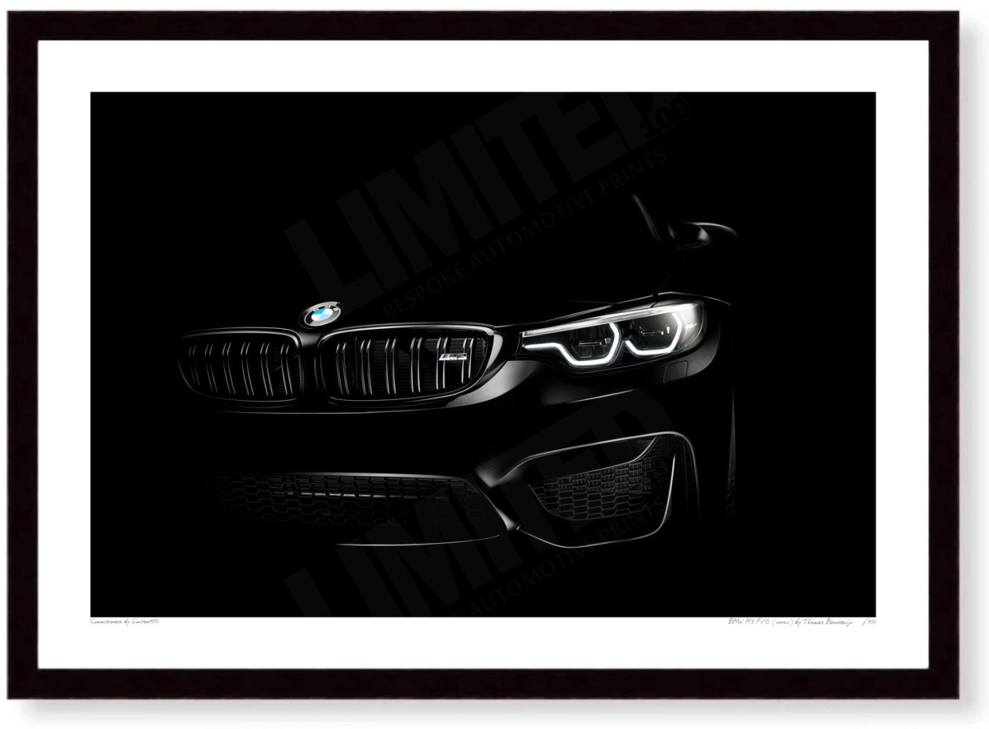 BMW M3 F80 (detail)