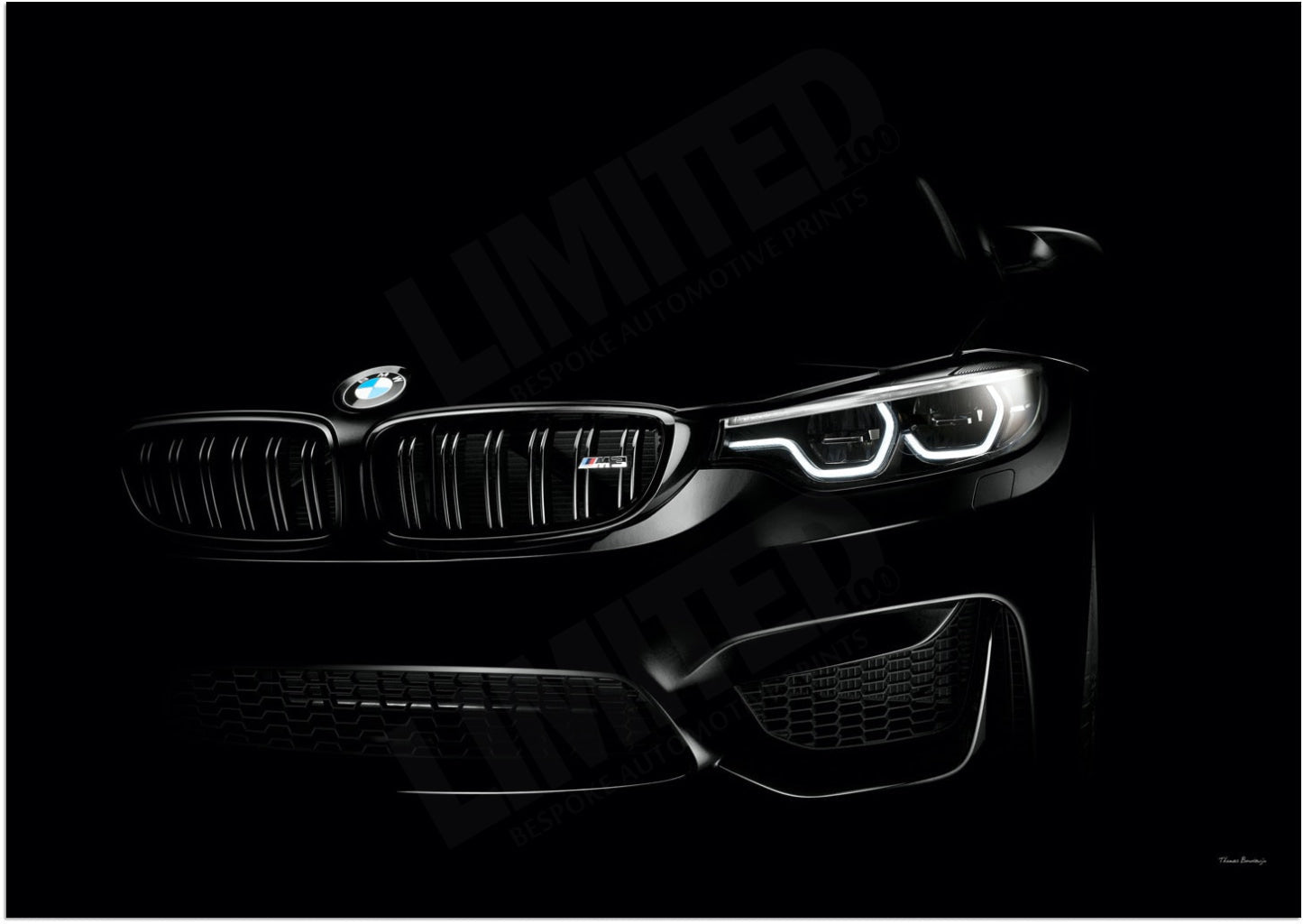 BMW M3 F80 (detail)
