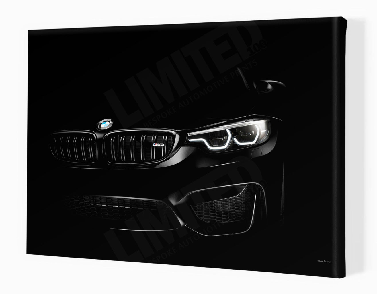 BMW M3 F80 (detail)
