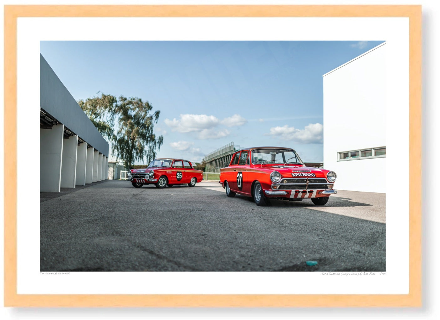 Lotus Cortinas (taking a break)