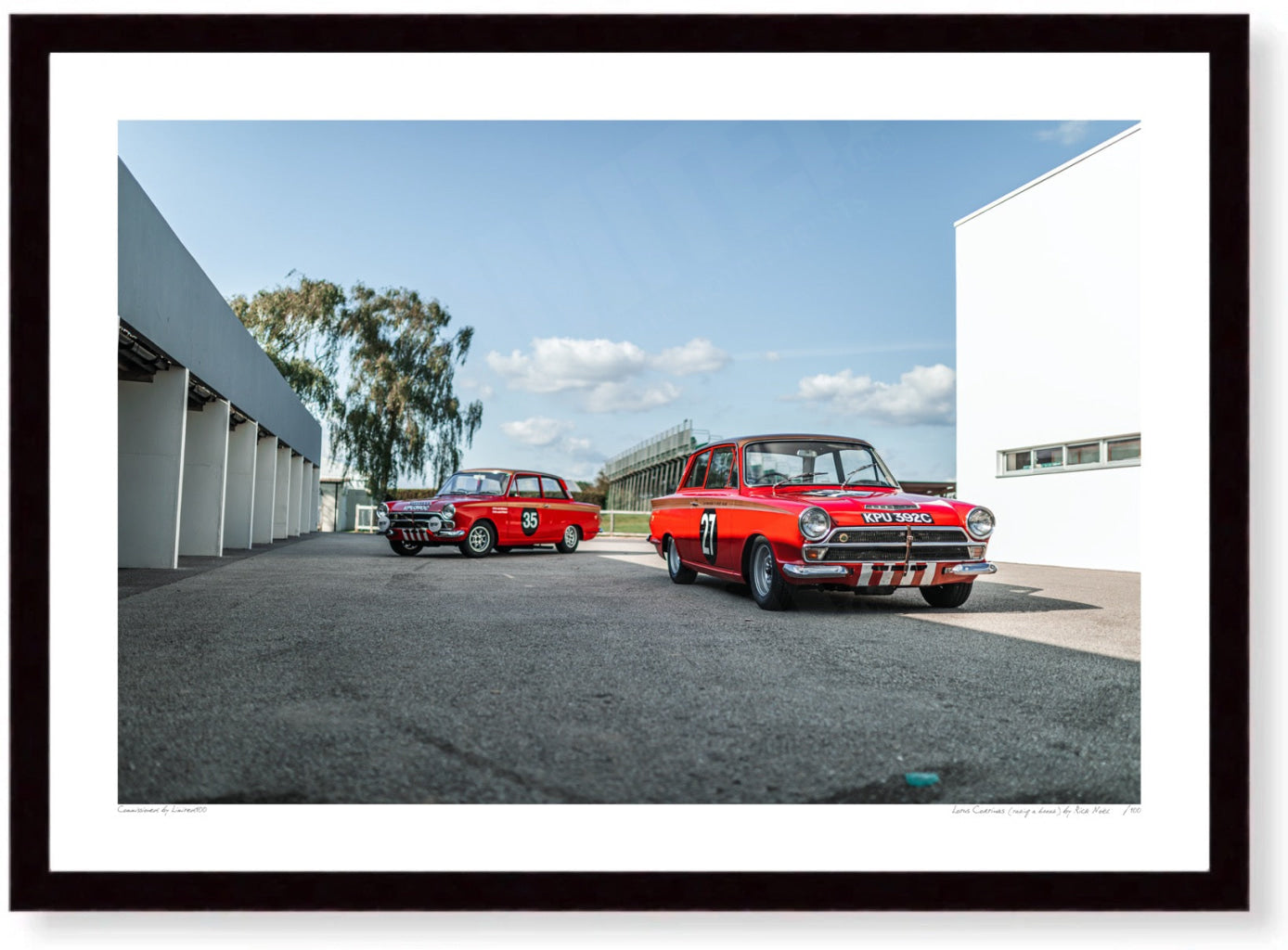 Lotus Cortinas (taking a break)
