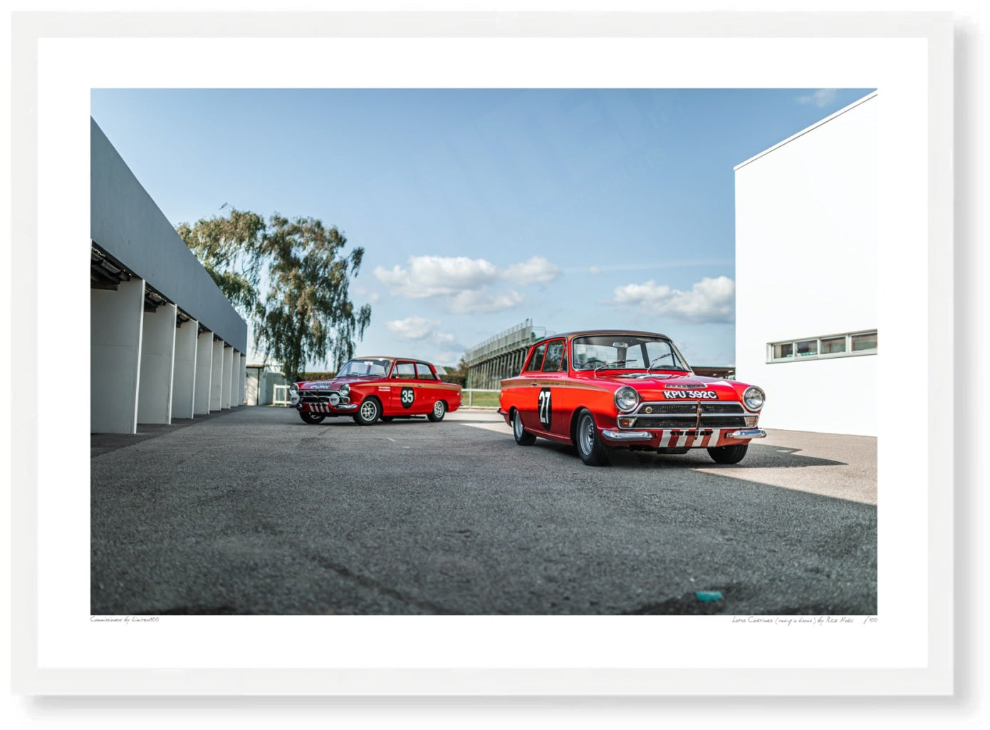 Lotus Cortinas (taking a break)