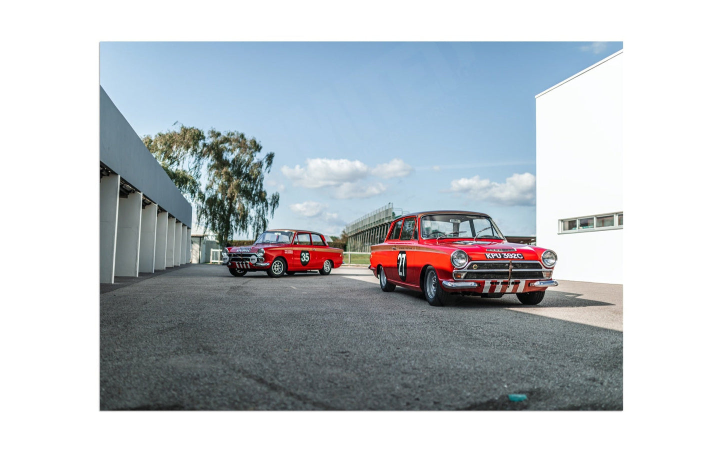 Lotus Cortinas (taking a break)