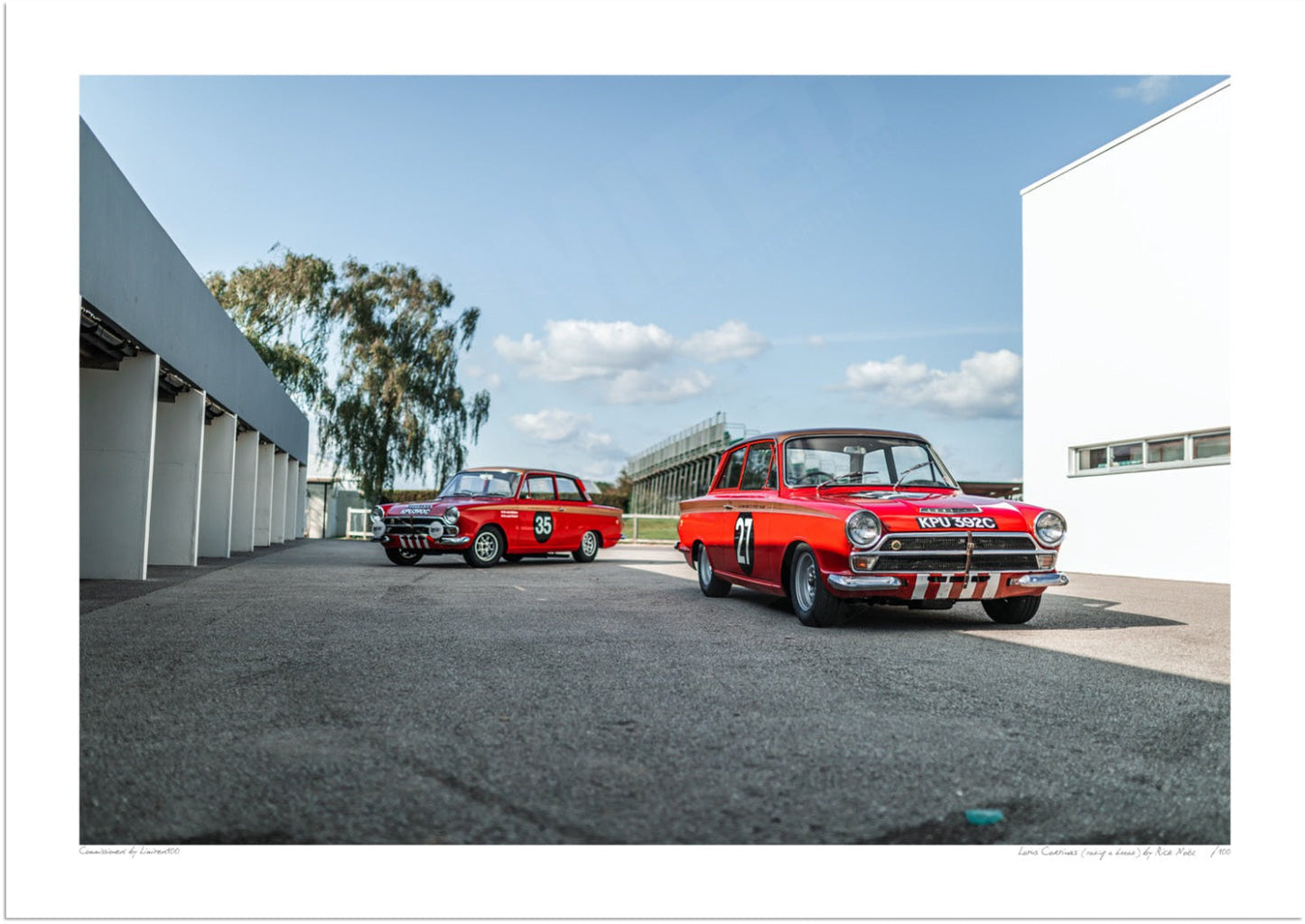 Lotus Cortinas (taking a break)
