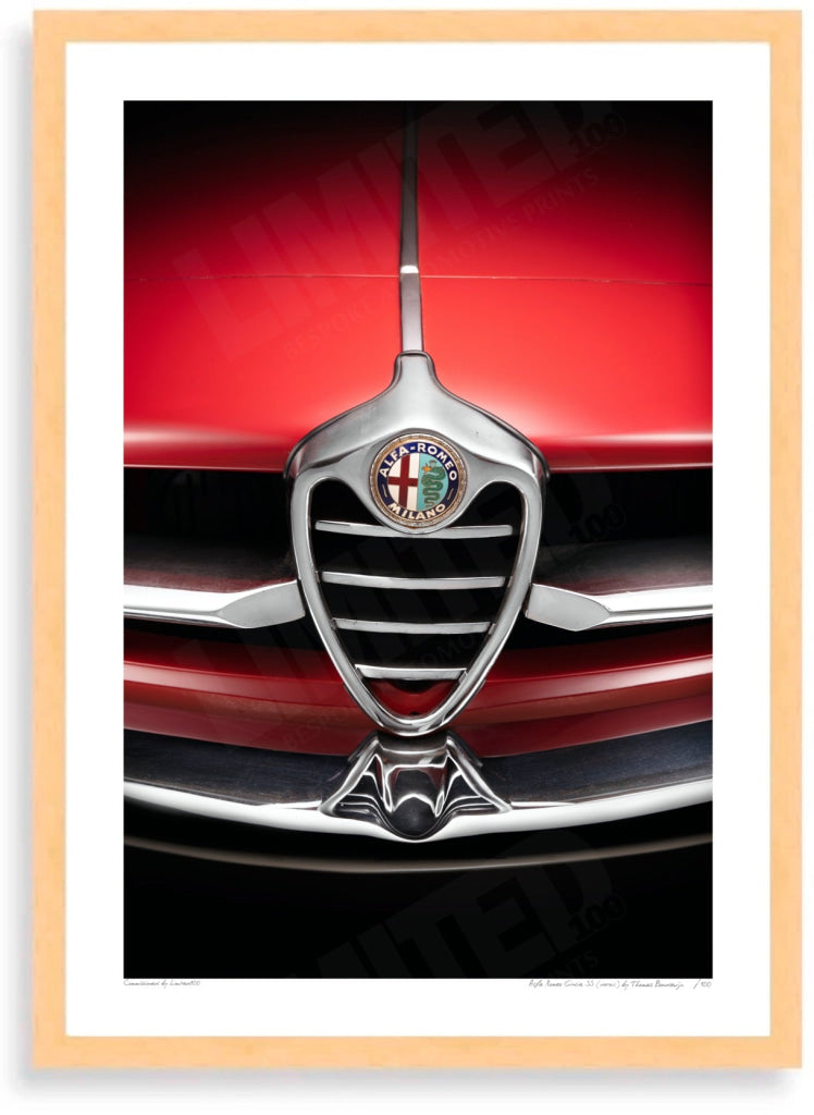 Alfa Romeo Giulia SS (detail)