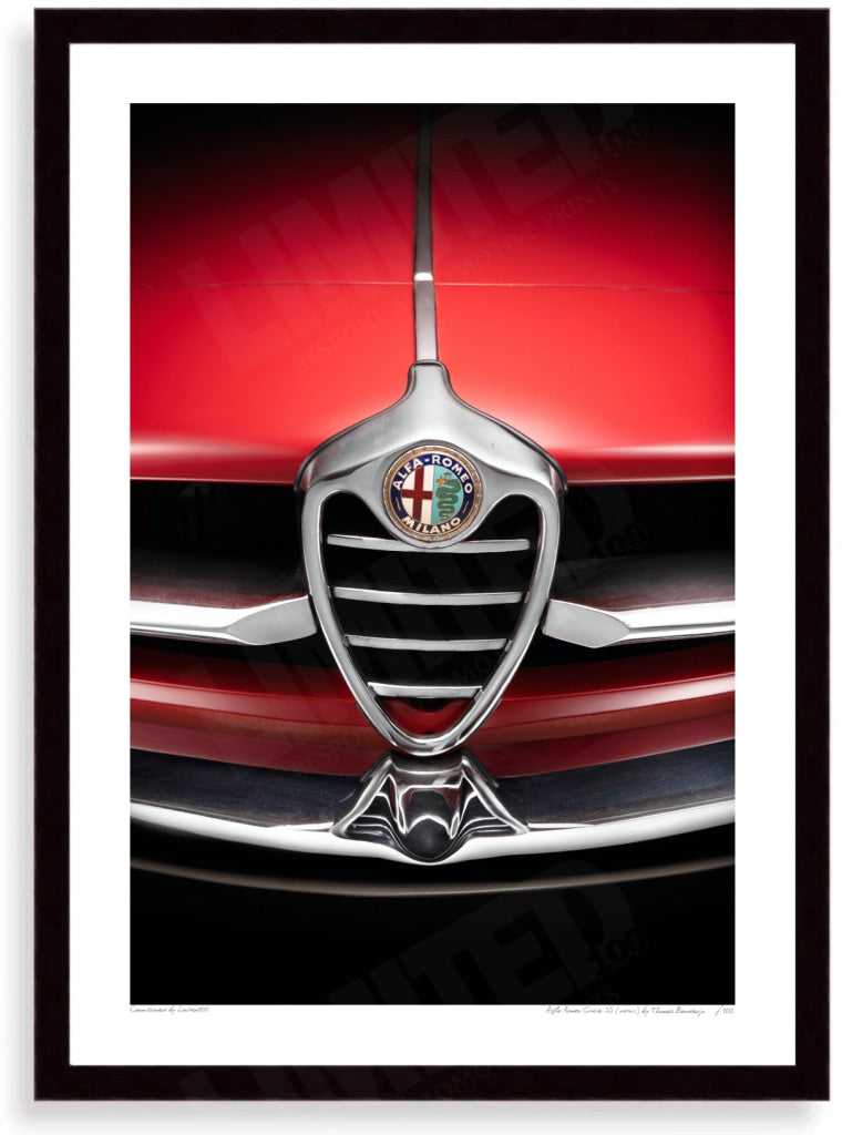 Alfa Romeo Giulia SS (detail)