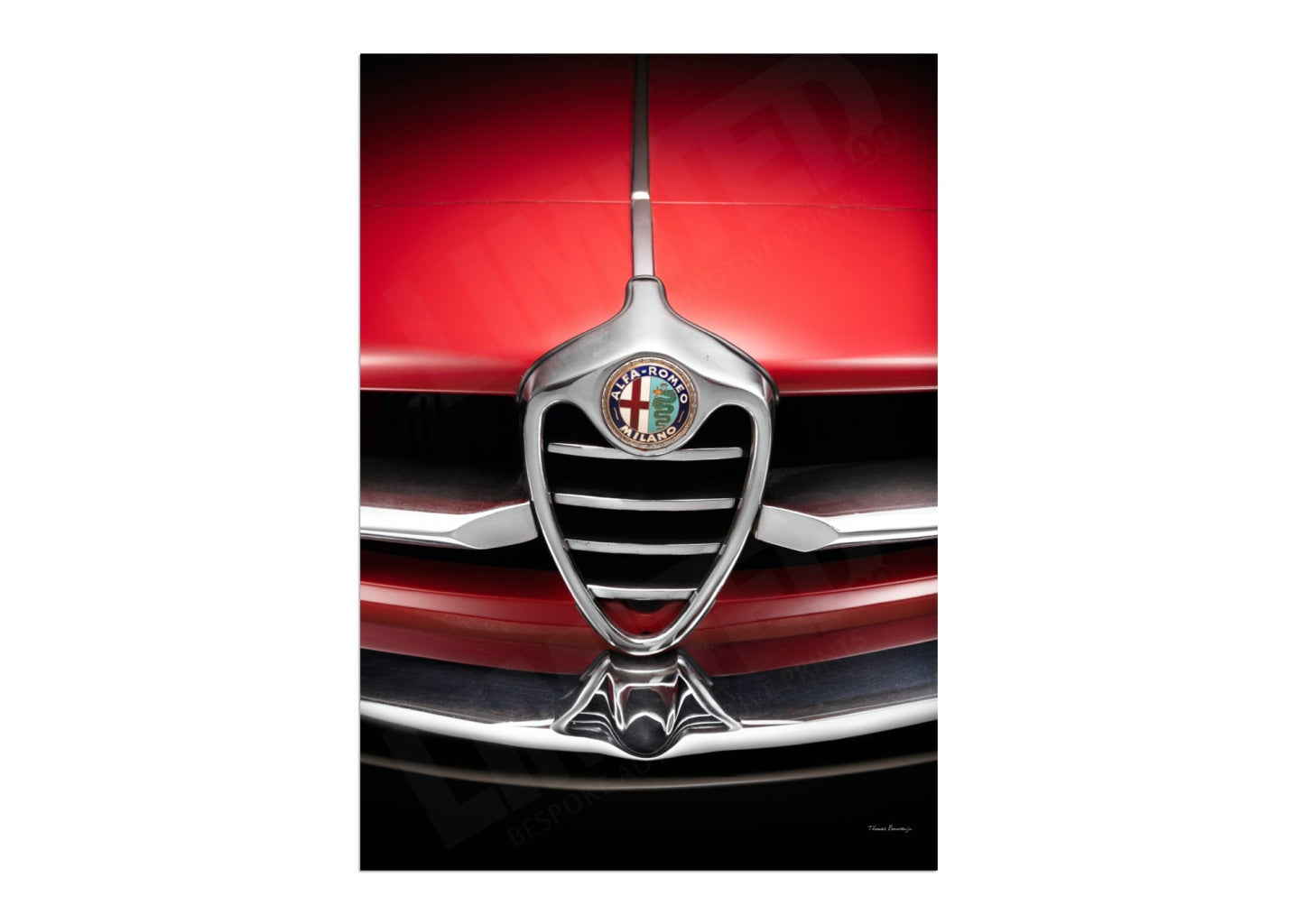Alfa Romeo Giulia SS (detail)