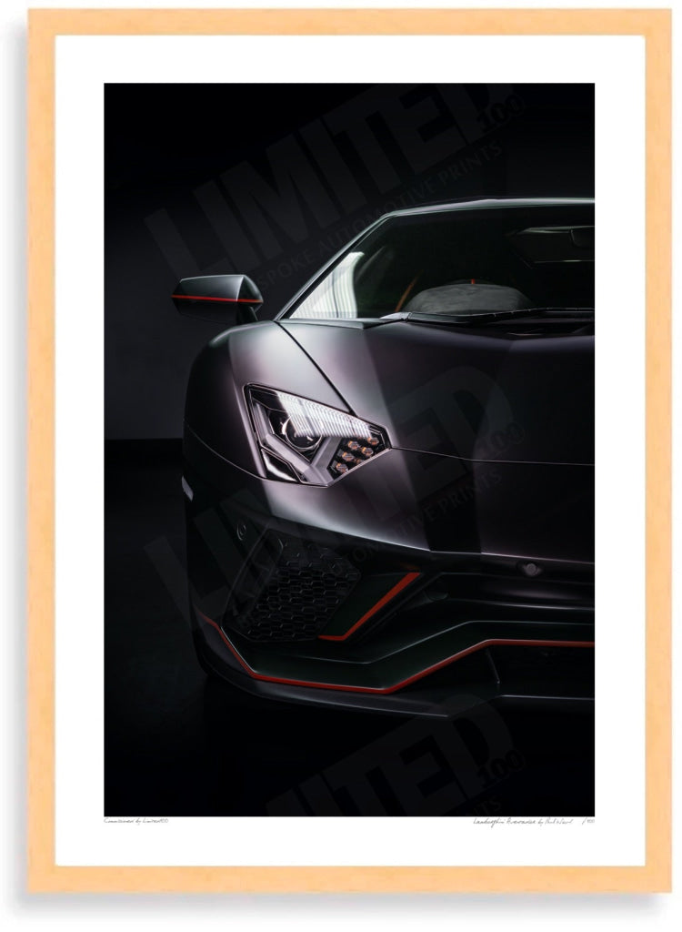 Lamborghini Aventador (matt black)