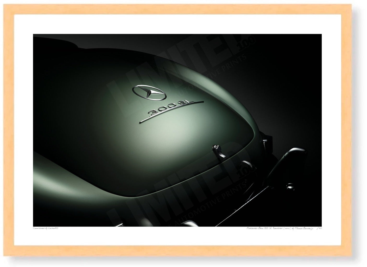 Mercedes-Benz 300 SL Roadster (detail)