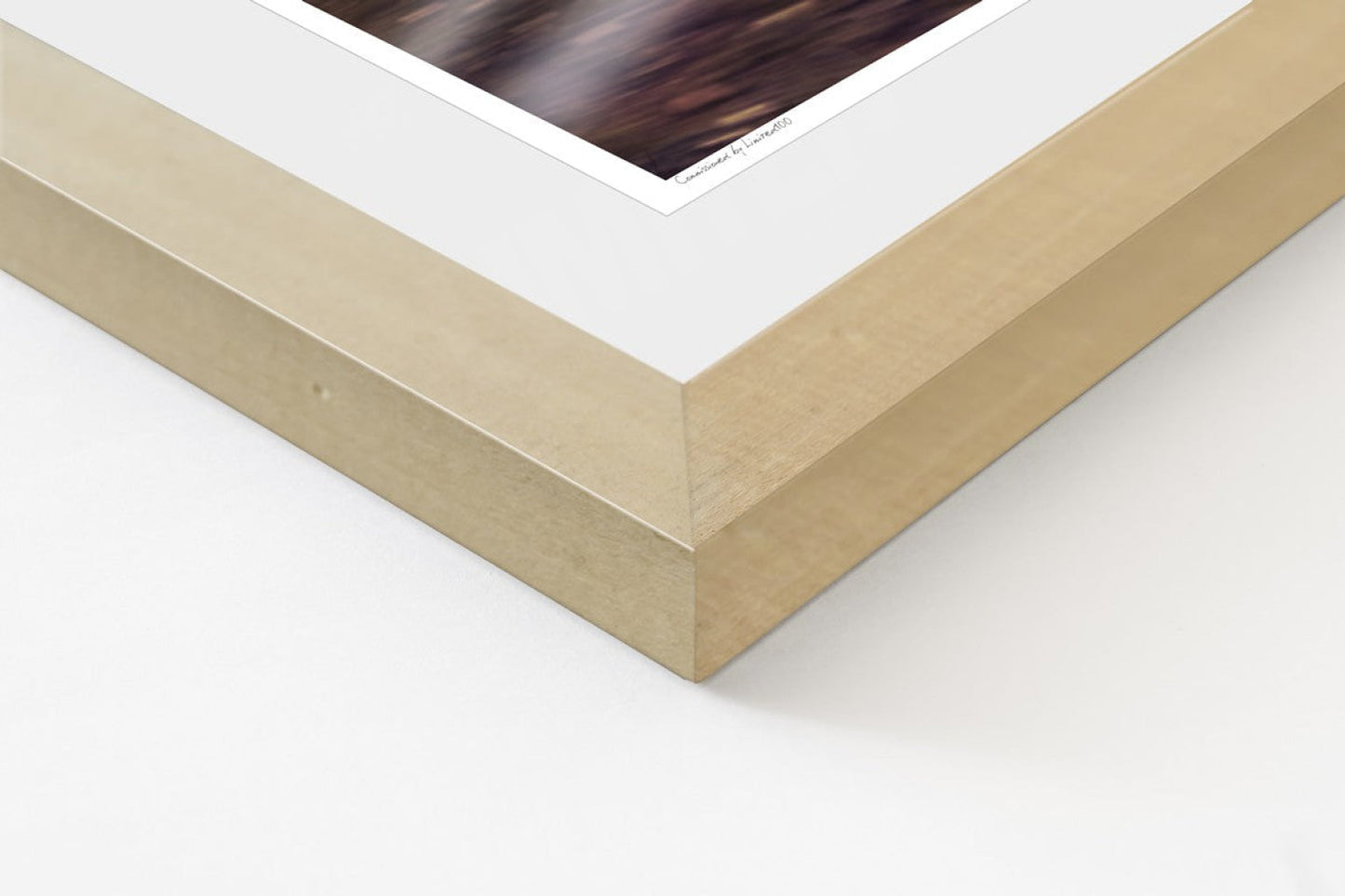 Porsche 911 RSR detail